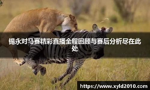 锡永对马赛精彩直播全程回顾与赛后分析尽在此处